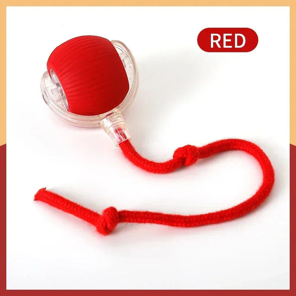 Pelota de Juego Activa