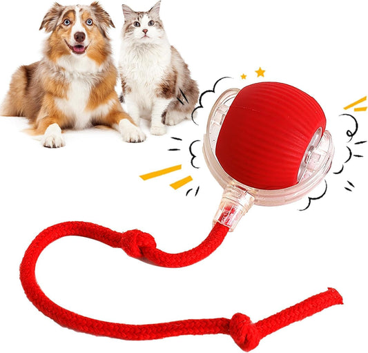 Pelota de Juego Activa